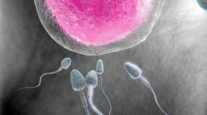 Кто может быть донором яйцеклеток и донором спермы?